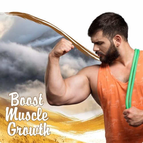 Himcure Pure Himalayan Shilajeet Gold Resin 20gm - Image 4