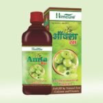 Himcure Amla Ras | 500 ml Pack